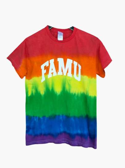 Handmade FAMU Pride Ombre Rainbow Crew Fringe or Spider Web Back Design T-Shirt