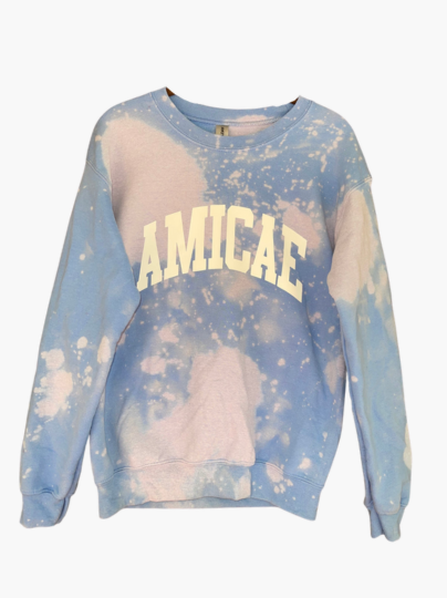 Handmade Zeta Phi Beta Amicae Sweatshirt