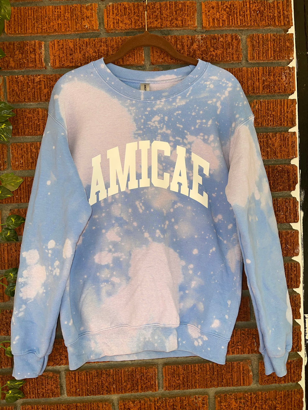 Handmade Zeta Phi Beta Amicae Sweatshirt