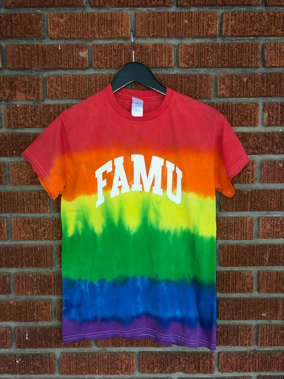 Handmade FAMU Pride Ombre Rainbow Crew Fringe or Spider Web Back Design T-Shirt