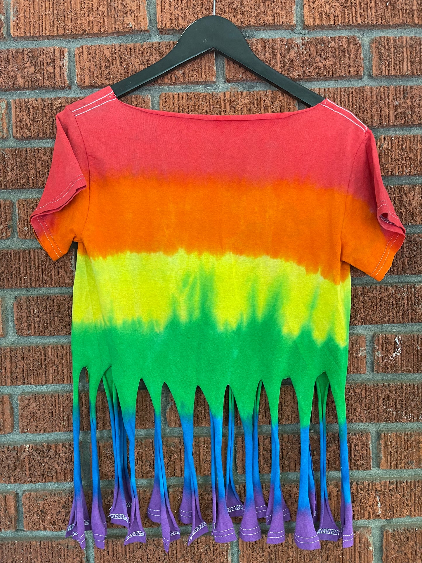Handmade Hampton Pride Ombre Rainbow Crew Fringe or Spider Web Back Design T-Shirt