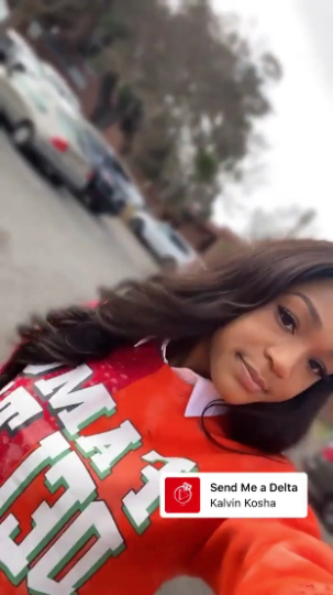 Miss Kyra D. Handmade FAMU Delta Beta Alpha 13 Half&Half Crew Sweatshirt