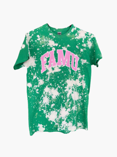 Handmade FAMU AKA Color-Way Hand Bleached Crewneck T-Shirt