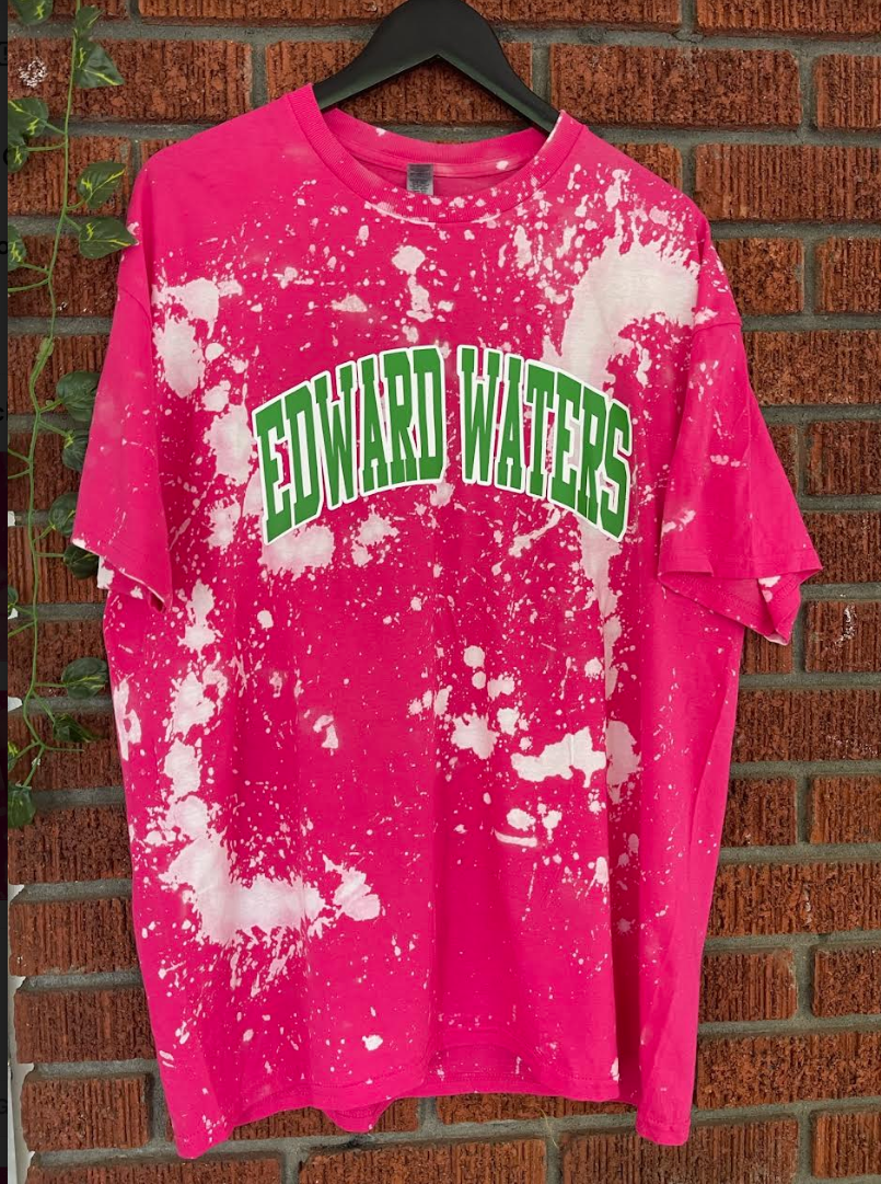 Edward Waters pink and green AKA Alpha Kappa Alpha tee shirt hand bleached handmade t-shirt