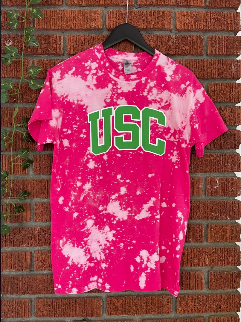USC South Carolina pink and green AKA Alpha Kappa Alpha tee shirt hand bleached handmade t-shirt