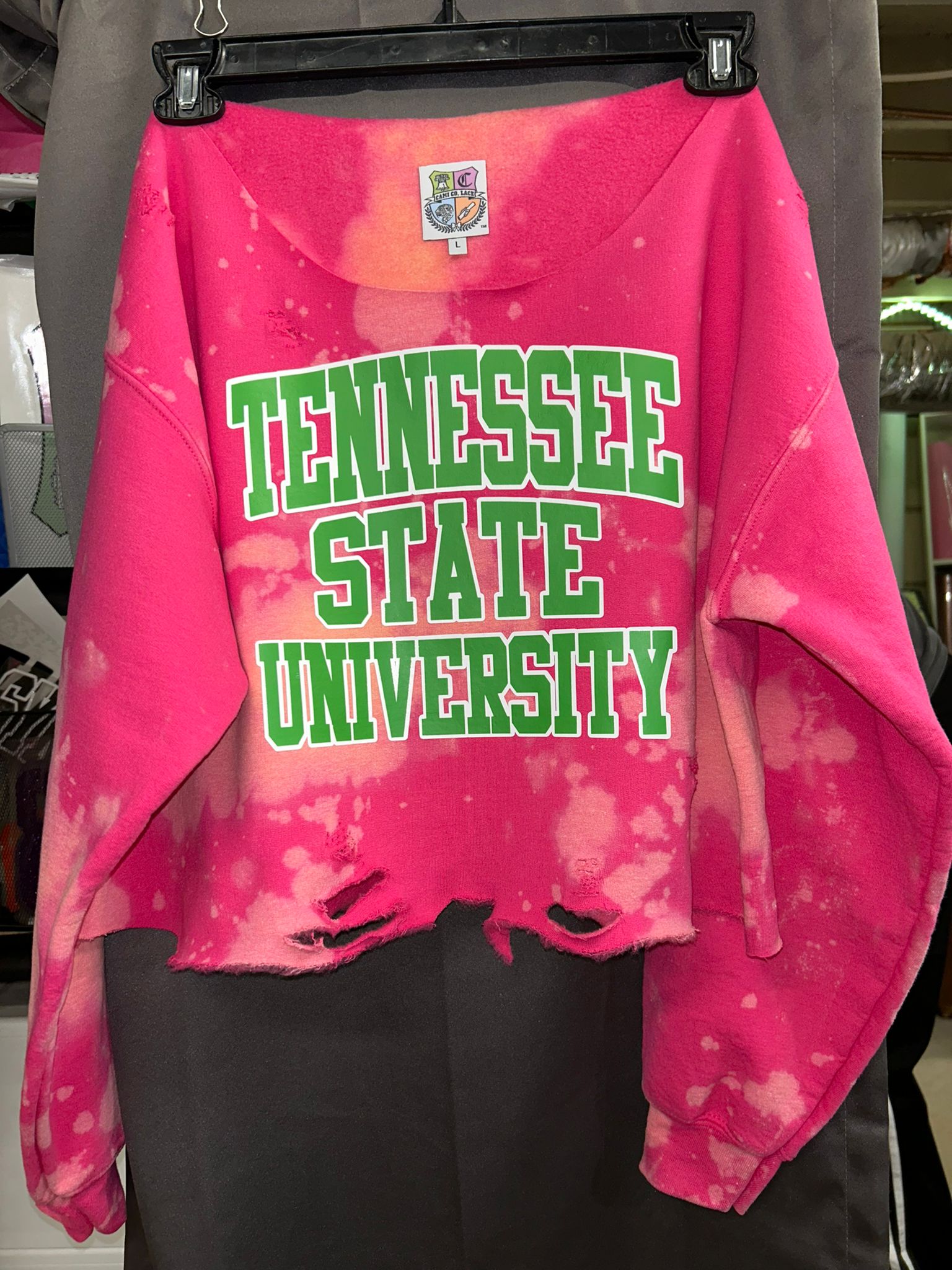 Tennessee State University
Tennessee State AKA
Tennessee State Pink and Green Shirt