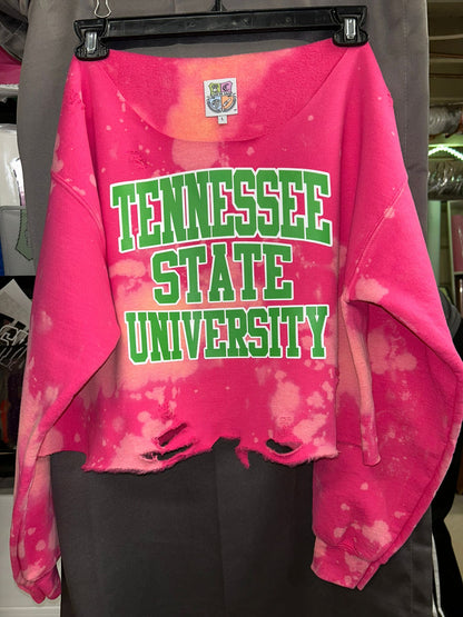 Tennessee State University
Tennessee State AKA
Tennessee State Pink and Green Shirt