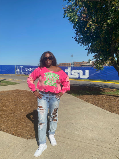 Tennessee State University,
Tennessee State AKA,
Tennessee State Pink and Green Shirt