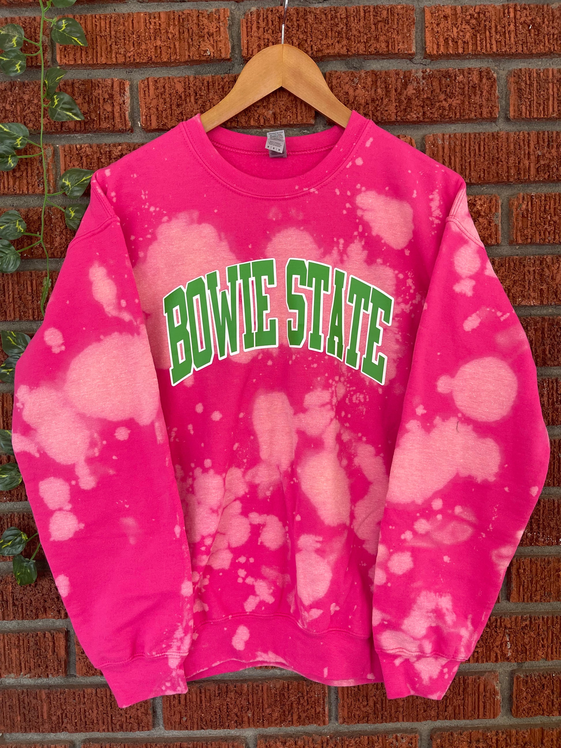 Bowie State pink and green AKA Alpha Kappa Alpha Sweatshirt hand bleached handmade