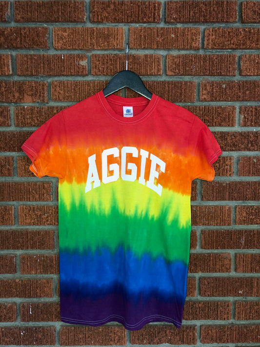 Handmade NCAT Aggie NC A&T Pride Ombre Rainbow Short Sleeve Crew Fringe or Spider Web Back Design Summer T-Shirt